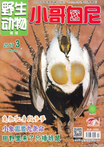 《小哥白尼?野生動(dòng)物》